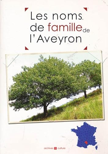 9782350770130: Aveyron Noms de Famille (Ae) (French Edition)