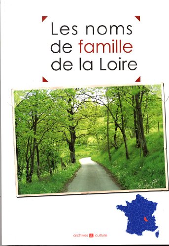 Beispielbild fr Les noms de famille de la Loire zum Verkauf von Ammareal