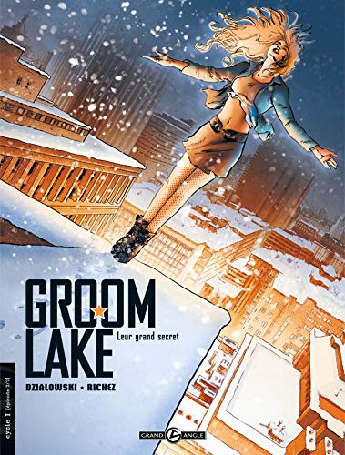Groom Lake - cycle 1 (vol. 02/2): Leur grand secret (9782350782508) by [???]