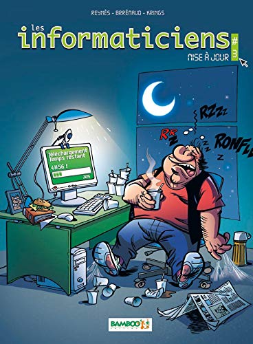 Stock image for Les Informaticiens. Vol. 3. Mise  Jour for sale by RECYCLIVRE