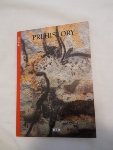 9782350800363: Prehistory - In Focus (Anglais)