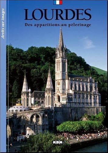 9782350800806: Lourdes: Des apparitions au plerinage