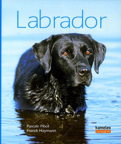 9782350950051: Labrador