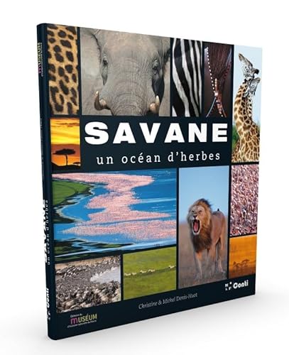 Beispielbild fr Savane : Un Ocan D'herbes zum Verkauf von RECYCLIVRE