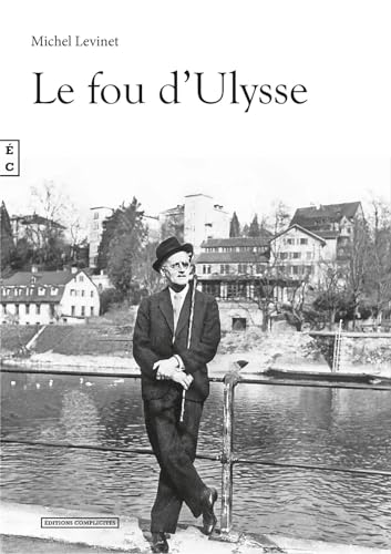 Stock image for Le Fou D'ulysse for sale by RECYCLIVRE