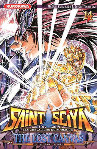 Beispielbild fr Saint Seiya - The Lost Canvas - Hades Vol.14 zum Verkauf von medimops