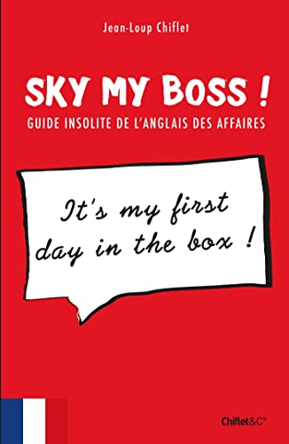 9782351642177: Sky my boss !: Guide insolite de l'anglais des affaires