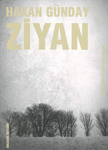 Imagen de archivo de Ziyan a la venta por Ammareal