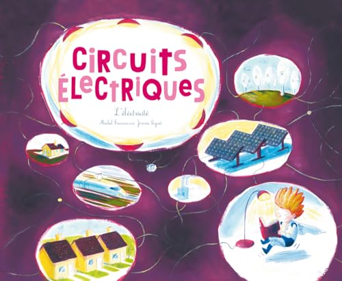 Beispielbild fr Circuits lectriques zum Verkauf von Ammareal