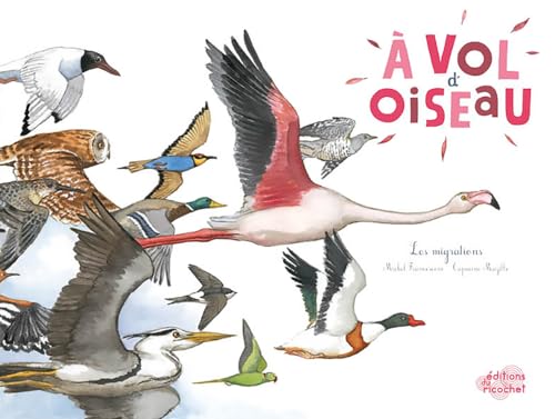 Imagen de archivo de A VOL D'OISEAU: Les migrations a la venta por WorldofBooks