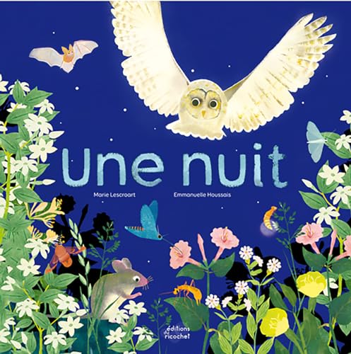 Stock image for Une nuit for sale by medimops