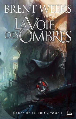 Beispielbild fr L'Ange de la Nuit, tome 1 : La Voie des ombres zum Verkauf von Ammareal