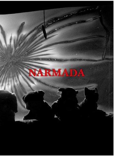 Stock image for Narmada. A la mmoire d Etienne Fortin for sale by Librairie de l'Avenue - Henri  Veyrier