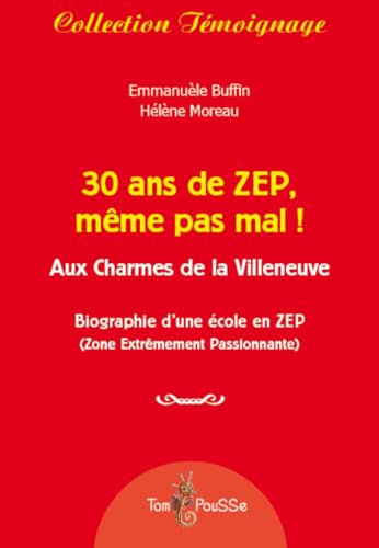 9782353451302: 30 ans de ZEP, mme pas mal !: Aux Charmes de la Villeneuve (Tmoignage)