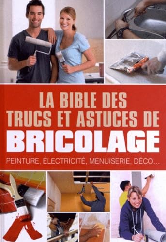 Beispielbild fr La bible des trucs et astuces de bricolage : Peinture, lectricit, menuiserie, dco. zum Verkauf von Ammareal