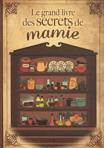 Stock image for Le Grand Livre Des Secrets De Mamie for sale by RECYCLIVRE