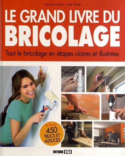 Beispielbild fr Le Grand Livre Du Bricolage : Tout Le Bricolage En tapes Claires Et Illustres zum Verkauf von RECYCLIVRE