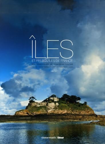 Stock image for Iles et presqu'les de France for sale by Ammareal