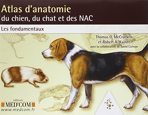 Stock image for Atlas d'anatomie du chien, du chat et des NAC : Les fondamentaux for sale by Revaluation Books