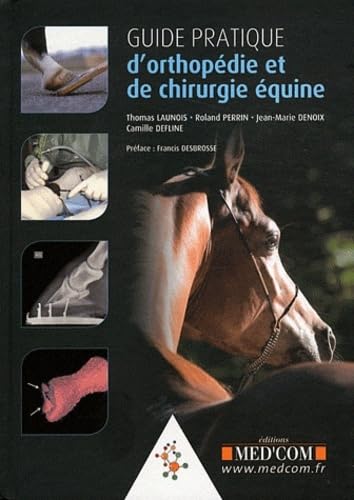 Stock image for Guide pratique d'orthopdie et de chirurgie quine for sale by Revaluation Books