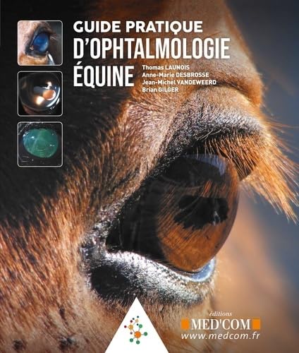 Stock image for guide pratique d'ophtalmologie quine for sale by Chapitre.com : livres et presse ancienne