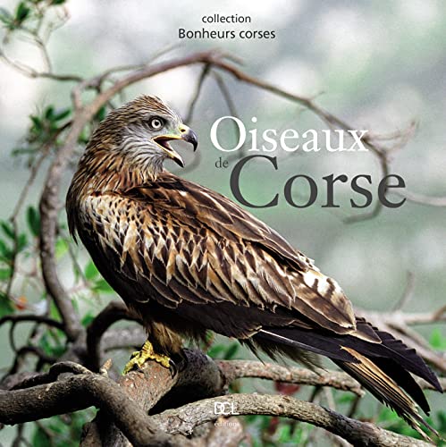 Stock image for OISEAUX DE CORSE for sale by ThriftBooks-Atlanta