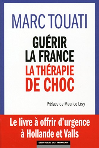 9782354173432: Gurir la France : la thrapie de choc
