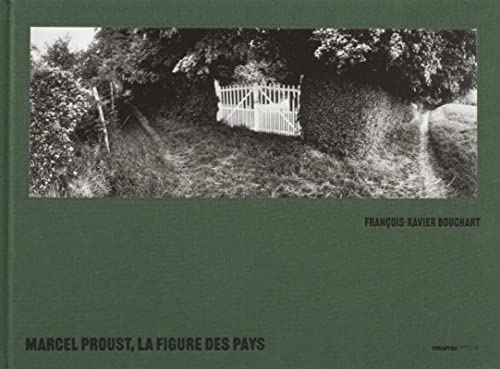 Beispielbild fr Marcel Proust, la figure des pays zum Verkauf von Gallix