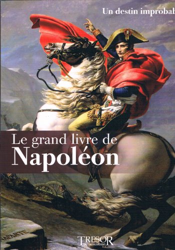 Stock image for Le Grand Livre de Napolon 1: Un Destin Improbable for sale by Librairie Th  la page