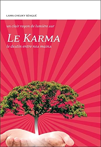 Beispielbild fr Le Karma : Le destin entre nos mains zum Verkauf von Revaluation Books
