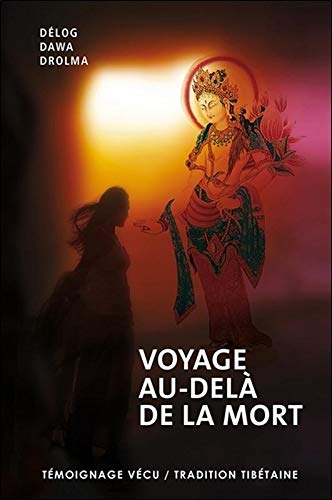 Beispielbild fr Voyage au-del de la mort zum Verkauf von Librairie Pic de la Mirandole