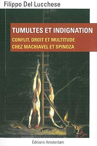 Beispielbild fr Tumultes et indignation: Conflit, droit et multitude chez Machiavel et Spinoza zum Verkauf von Ammareal