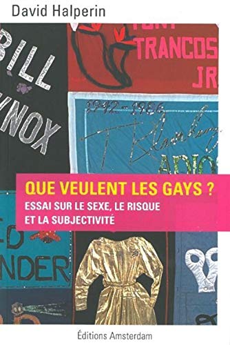 Beispielbild fr Que veulent les gays ?: Essai sur le sexe, le risque et la subjectivit zum Verkauf von Gallix