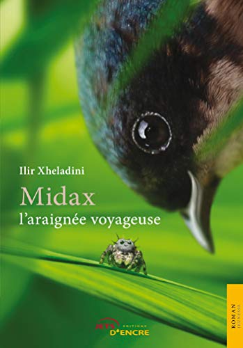Beispielbild fr Midax l'araigne voyageuse zum Verkauf von medimops