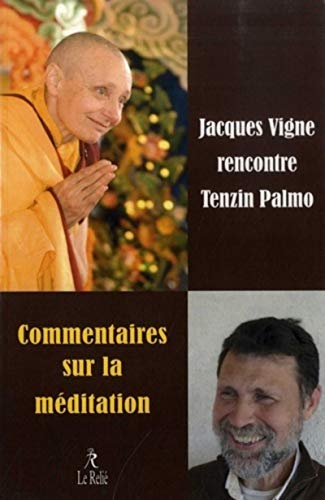 Beispielbild fr Commentaire sur la mditation : Jacques Vignes rencontre Tenzin Palmo zum Verkauf von medimops