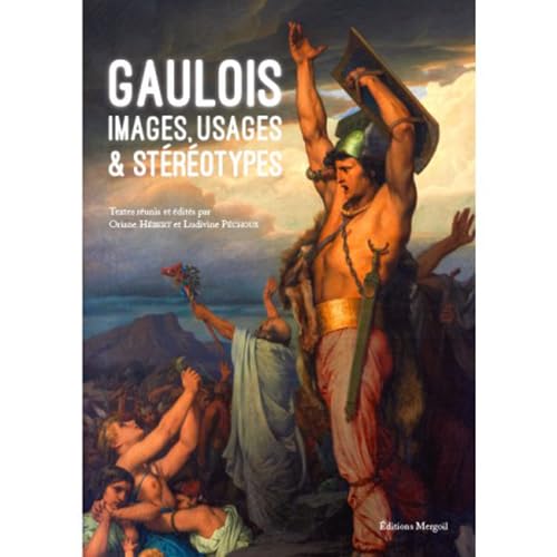 Stock image for Gaulois : Images, usages & strotypes for sale by ECOSPHERE