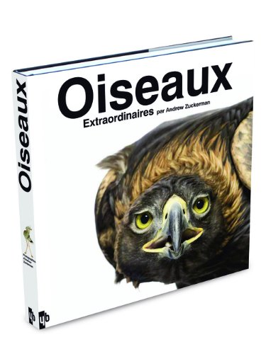 Stock image for Oiseaux Extraordinaires for sale by Ammareal