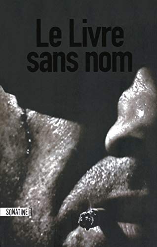 9782355840432: LE LIVRE SANS NOM