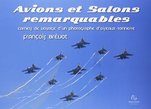 Beispielbild fr Avions et meetings d'exception 2 Brvot, Franois zum Verkauf von BIBLIO-NET