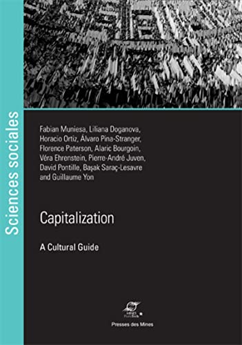 Beispielbild fr Capitalization : A Cultural Guide zum Verkauf von Revaluation Books