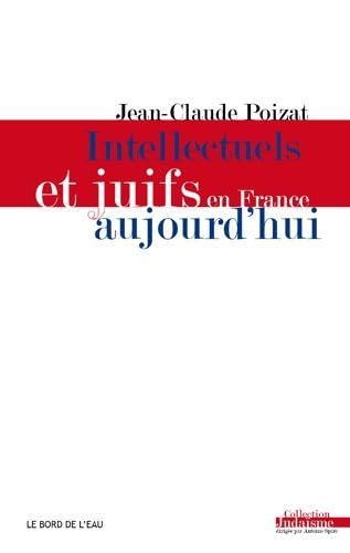 9782356872869: Intellectuels et juifs en France aujourd'hui: De l'enthousiasme des annes 60  la dception des annes 2000