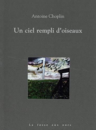 9782357071674: Un ciel rempli d'oiseaux