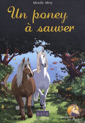 Beispielbild fr Le Vallon des chevaux - Tome 2: Un poney  sauver zum Verkauf von Ammareal