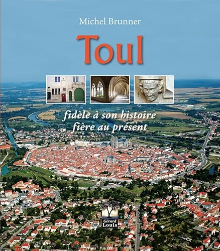 Beispielbild fr Toul: Fidle  son histoire, fire au prsent Brunner, Michel zum Verkauf von BIBLIO-NET