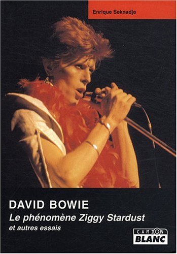Beispielbild fr DAVID BOWIE Le Phnomne Ziggy Stardust zum Verkauf von Ammareal