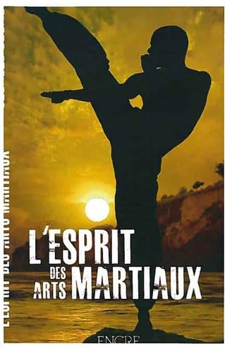 Imagen de archivo de L'esprit des arts martiaux a la venta por LiLi - La Libert des Livres