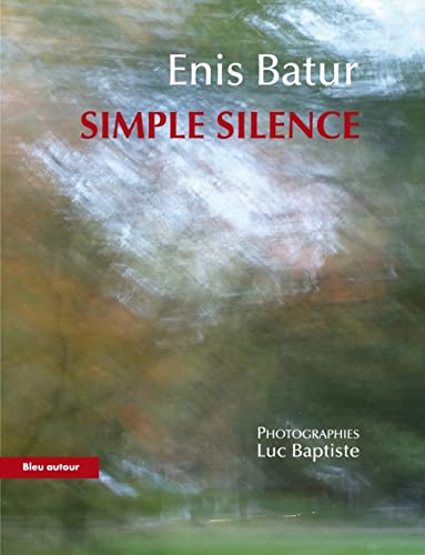 Beispielbild fr Simple silence zum Verkauf von Gallix