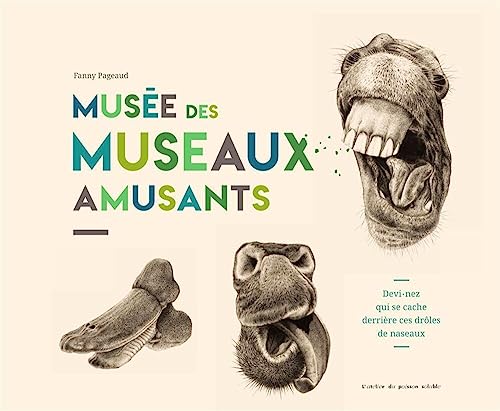 Beispielbild fr Muse des museaux amusants zum Verkauf von medimops