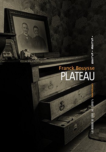 Imagen de archivo de Plateau a la venta por Ammareal