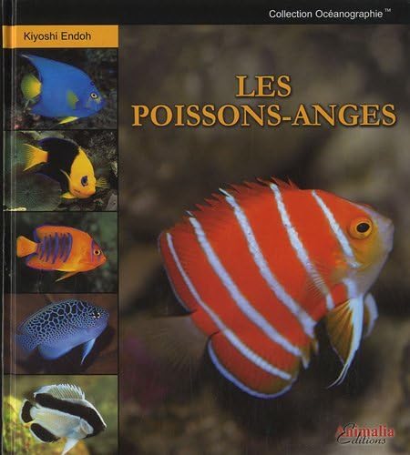 Stock image for Les Poissons-anges for sale by RECYCLIVRE